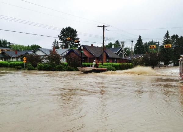 Image by @Mookalicious via Twitter